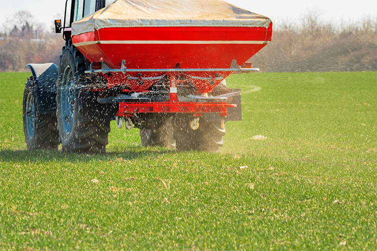 Urea